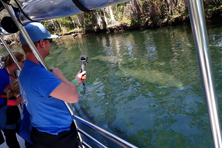 Crystal River Manatee Viewing Cruise - Photo 1 of 6